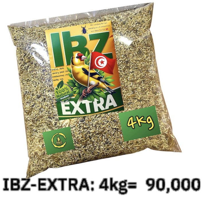 IBZ-Extra _0