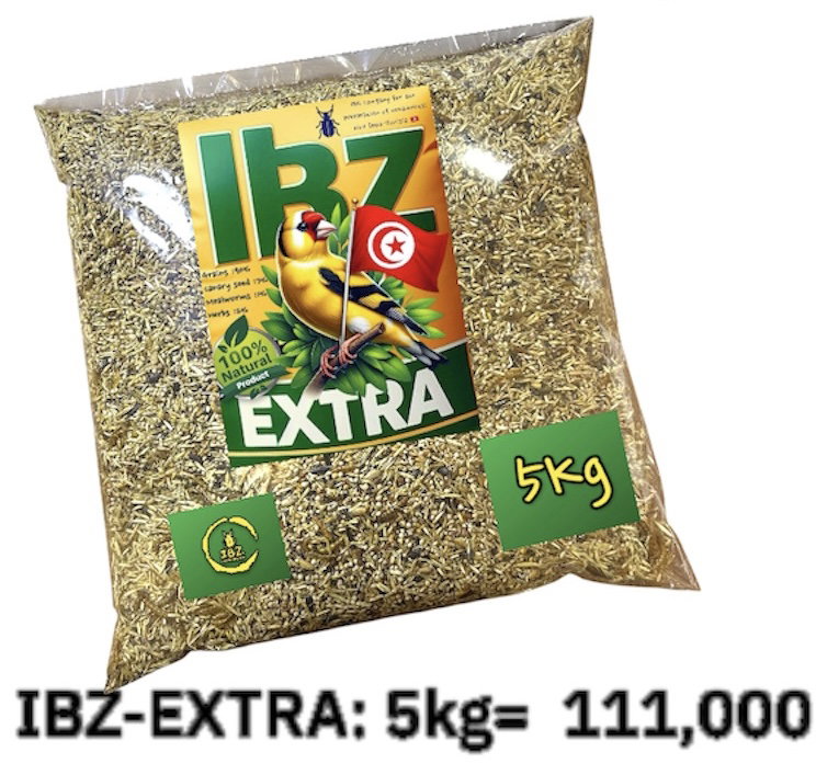 IBZ-Extra 