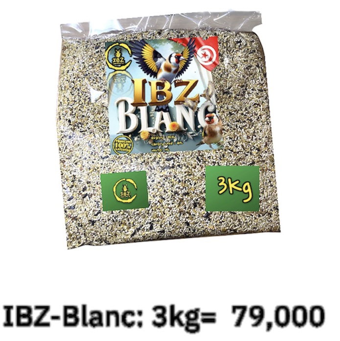 IBZ-Blanc 