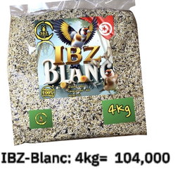 IBZ-Blanc 