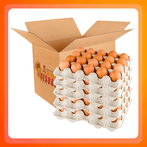Caja Huevos AA_0