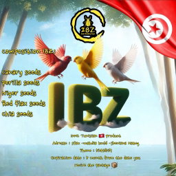 IBZ-MK3