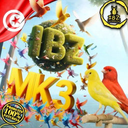 IBZ-MK3