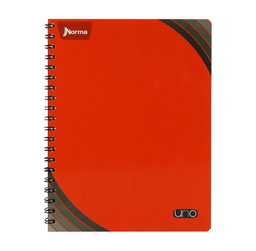 Cuaderno Profesional Norma Uno 100hj.