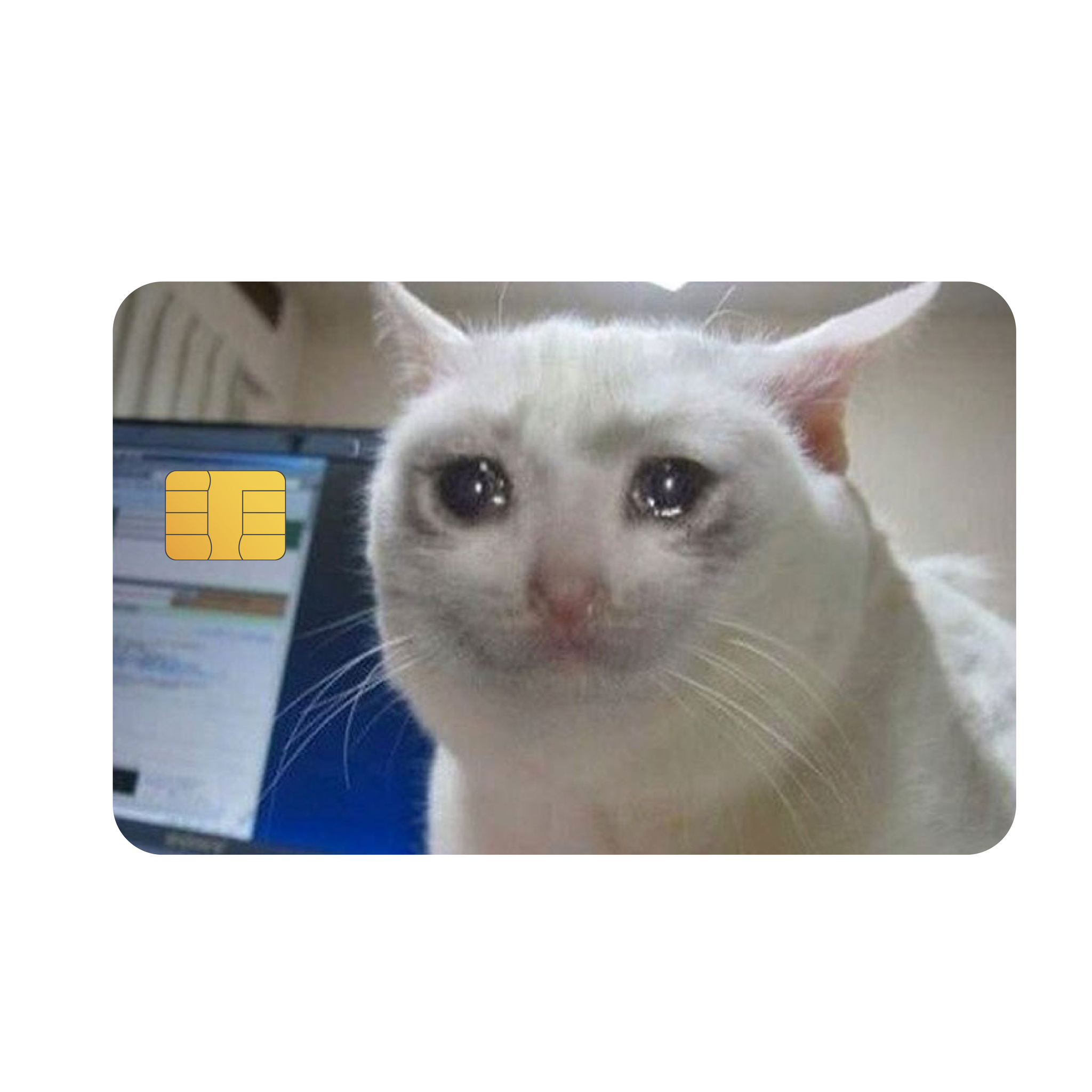 CRYING CAT MEMES CARD SKIN _0