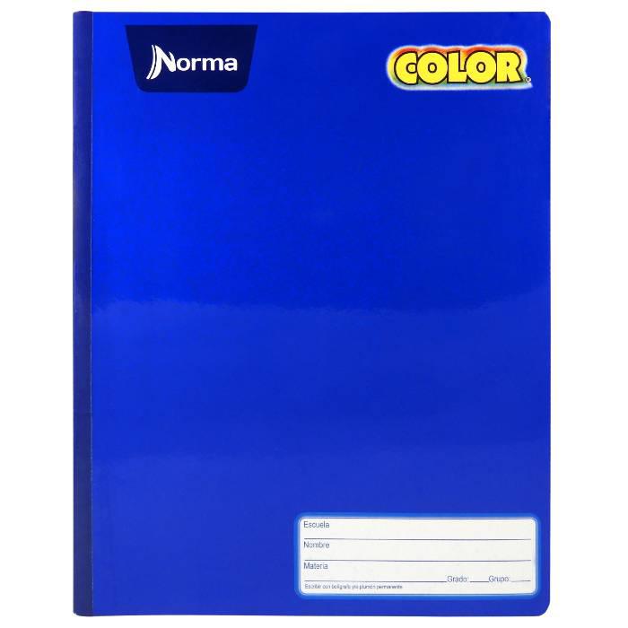 Cuaderno Profesional Cosido Norma 100h.