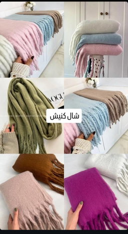 كاشني كنيش