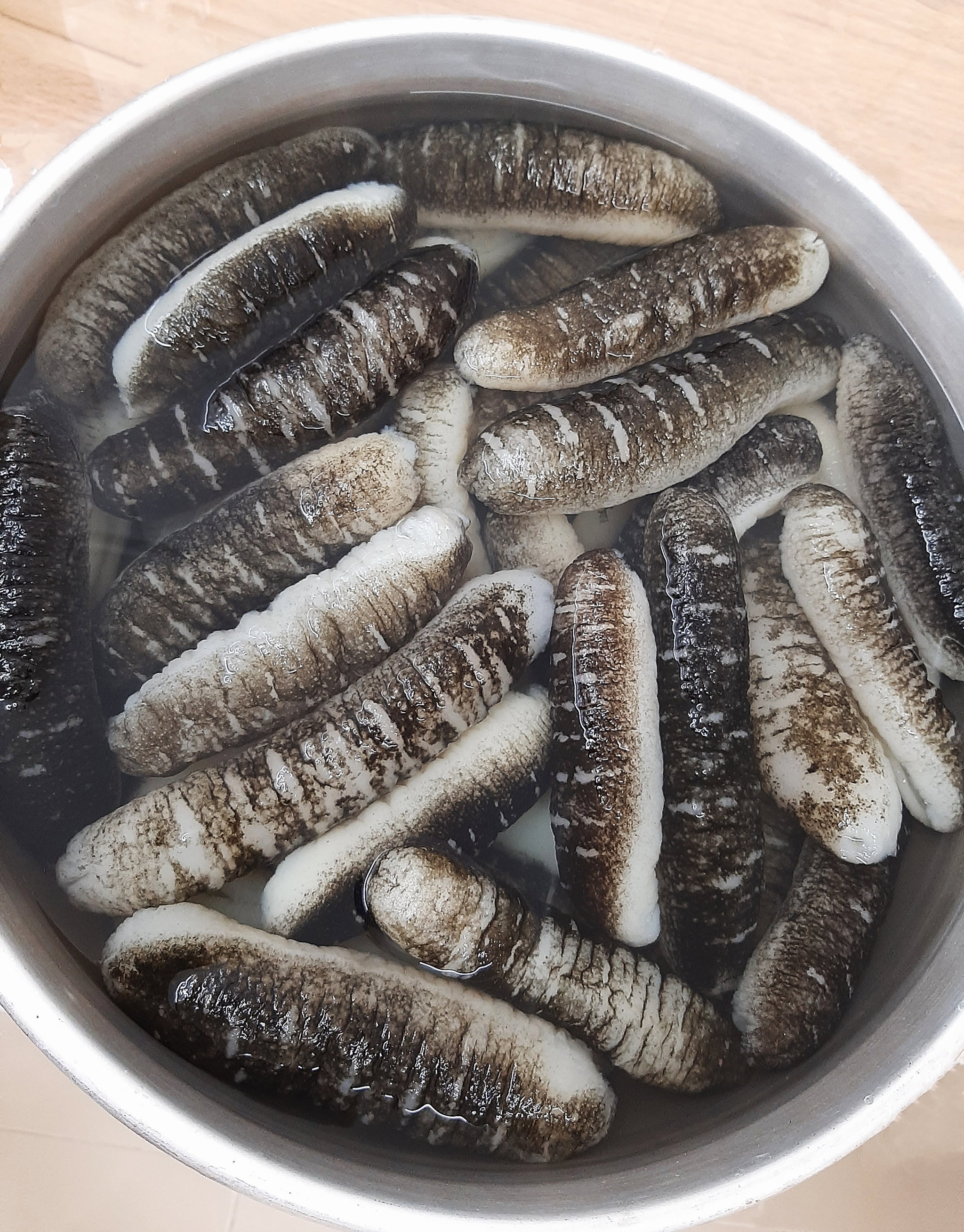 Sandfish Sea Cucumber 秃参_0