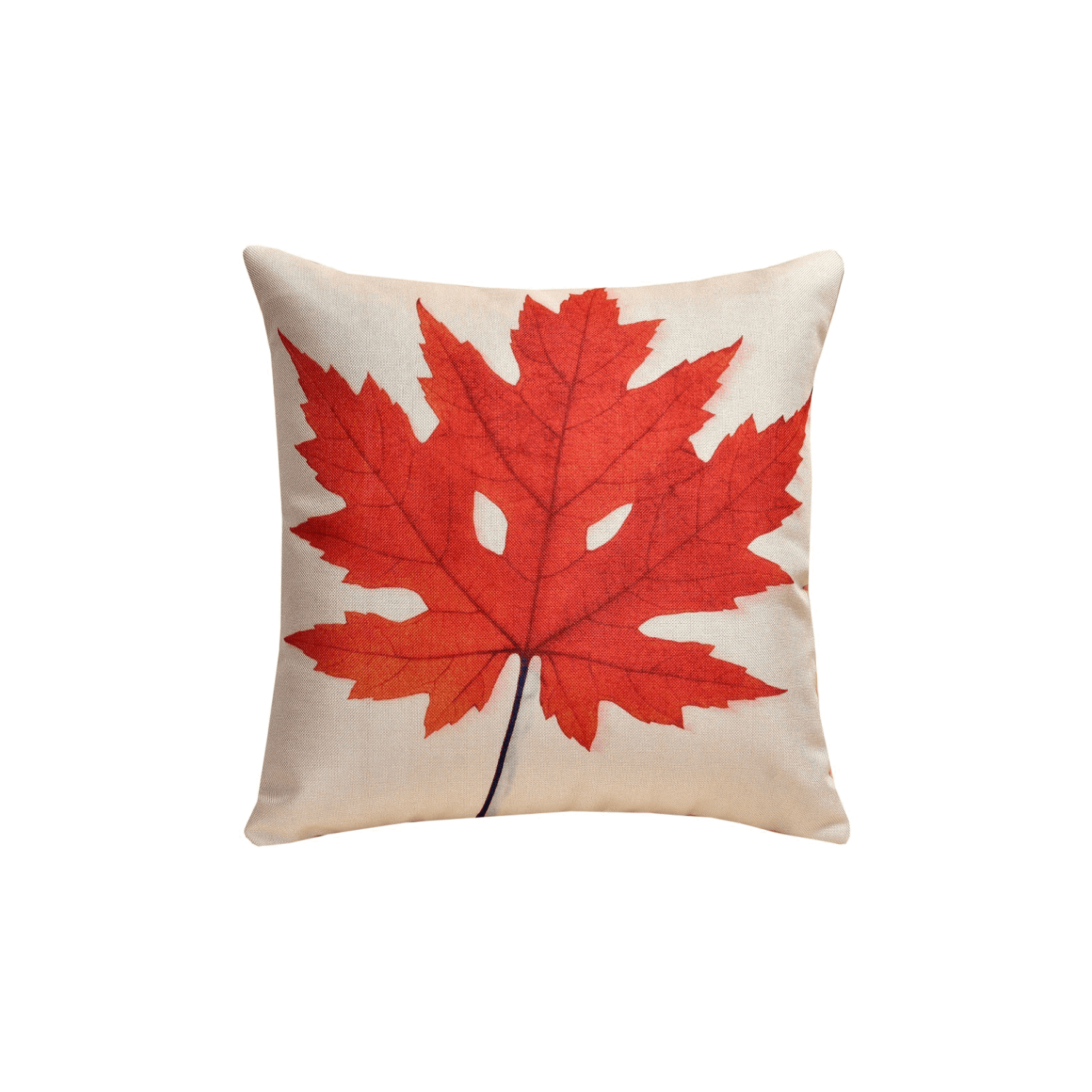 Digital Printed Cushion's Cover (Pack of 5, 16x16 Inch)_1