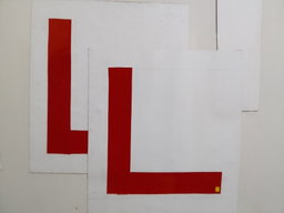 Learner Ls