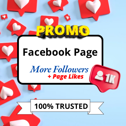 FOLLOWER + LIKES FB PAGES