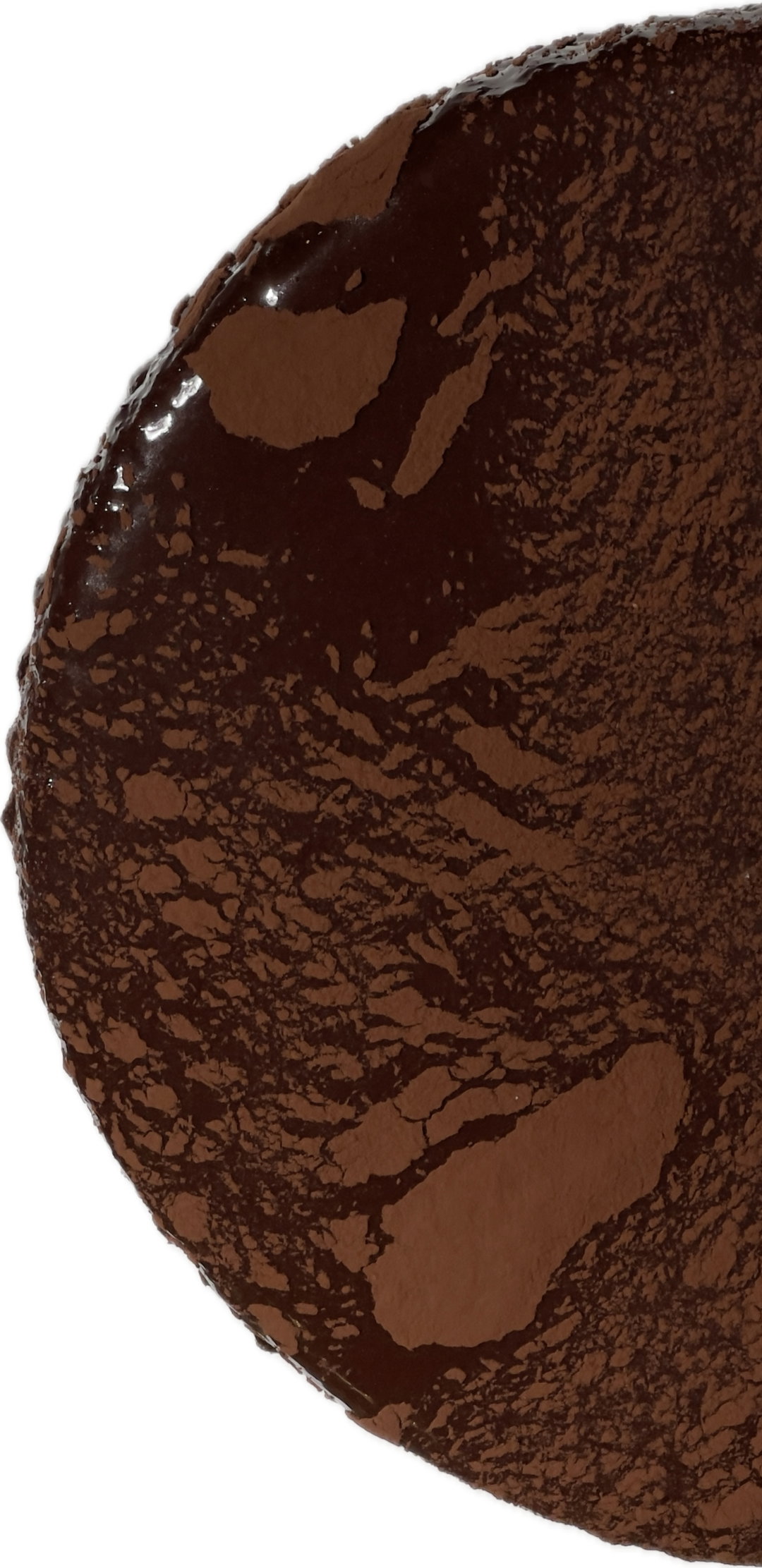 SACHER CZEKOLADOWO-KORZENNY  Z MARMOLADĄ MORELOWĄ 28cm (12 Porcji)