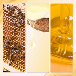Gisou Honey Infused Hair Oil