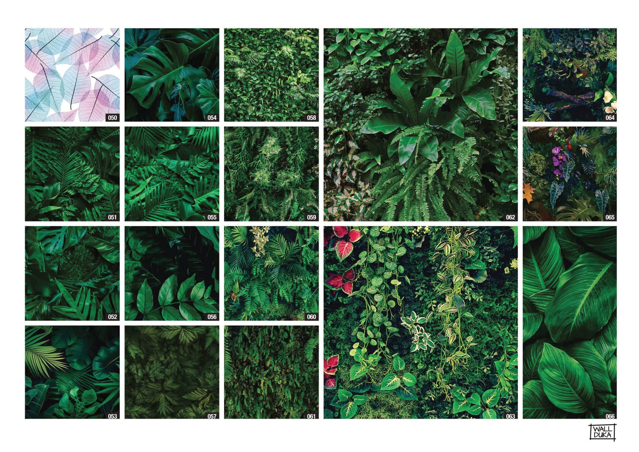 Leaves_4