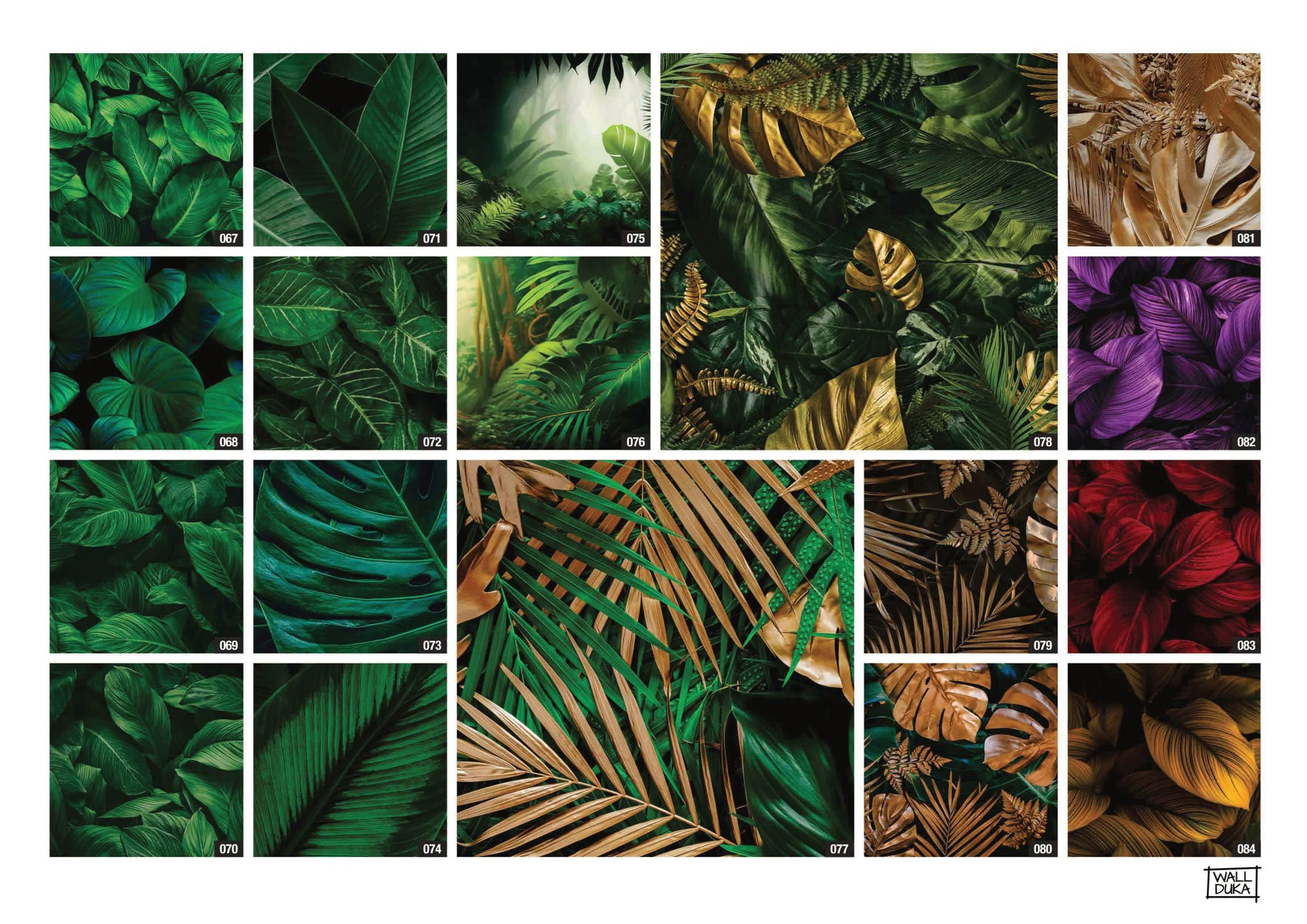 Leaves_5