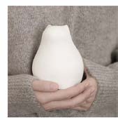 可愛造型矽膠水袋Warming bag_0