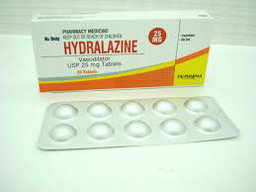 Hydralazine 25mg tab 1*100 
India