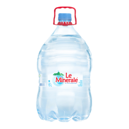 19 L