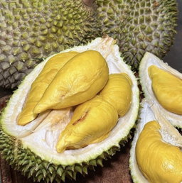 Old Tree Musang King Durian 400g
