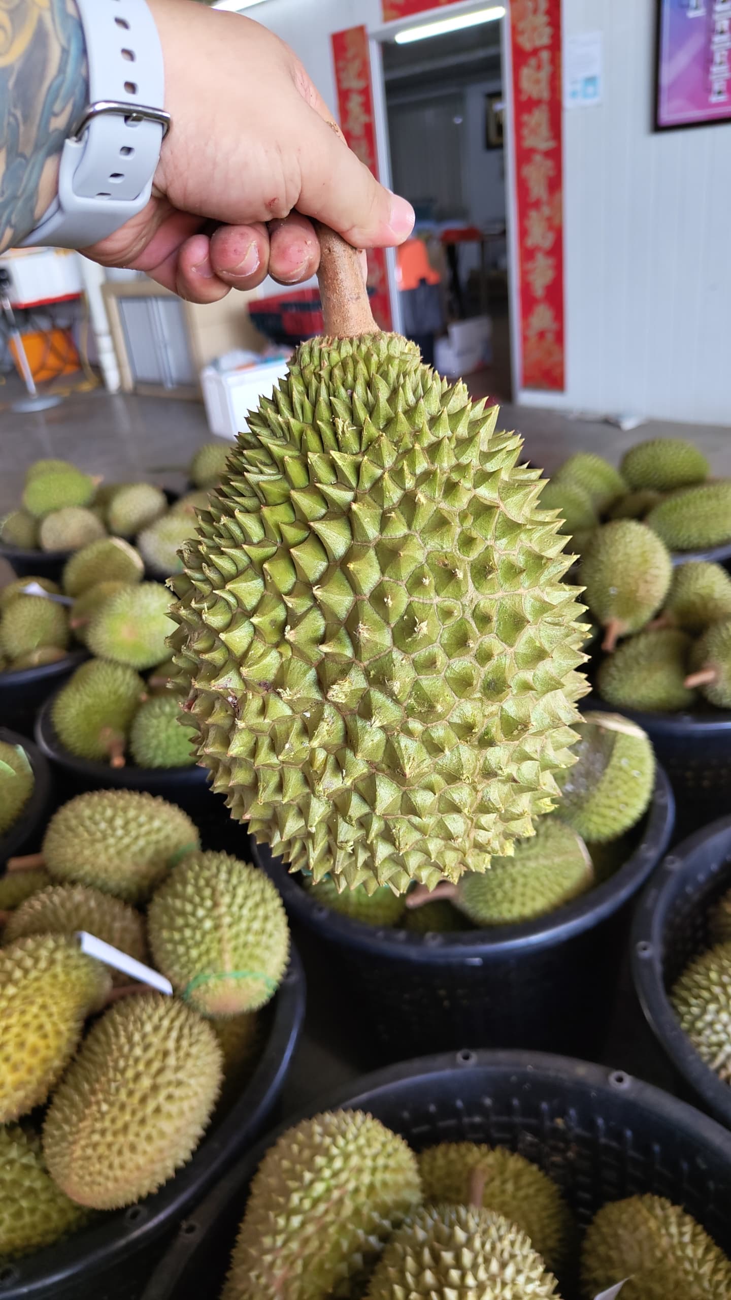 Old Tree Musang King Durian 400g_1