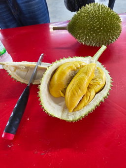 Fruit 水果