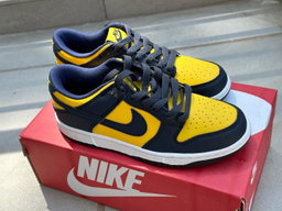 Nike SB Dunk