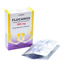 Flucamox 1*16 caps
