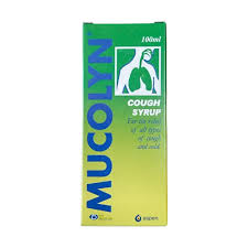 Mucolyn Cough 100ml Syp_1