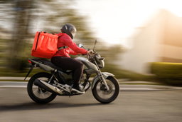 Delivery Fee (Please add to cart manually)