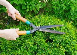 Garden Service