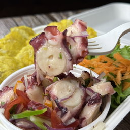 Ceviche al estilo Encanto - Encanto Style Ceviche