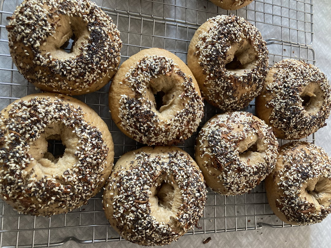 Sourdough Bagels (Jumbo package) (חבילת ענק) בייגל מחמצת