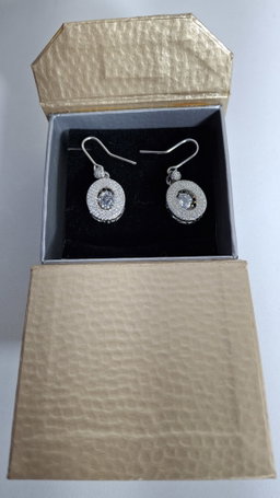 Brinco Prata Oval Dancing Diamonds com Zirconia
