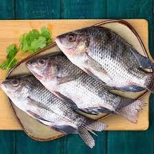 1kg Fresh Tilapia_1