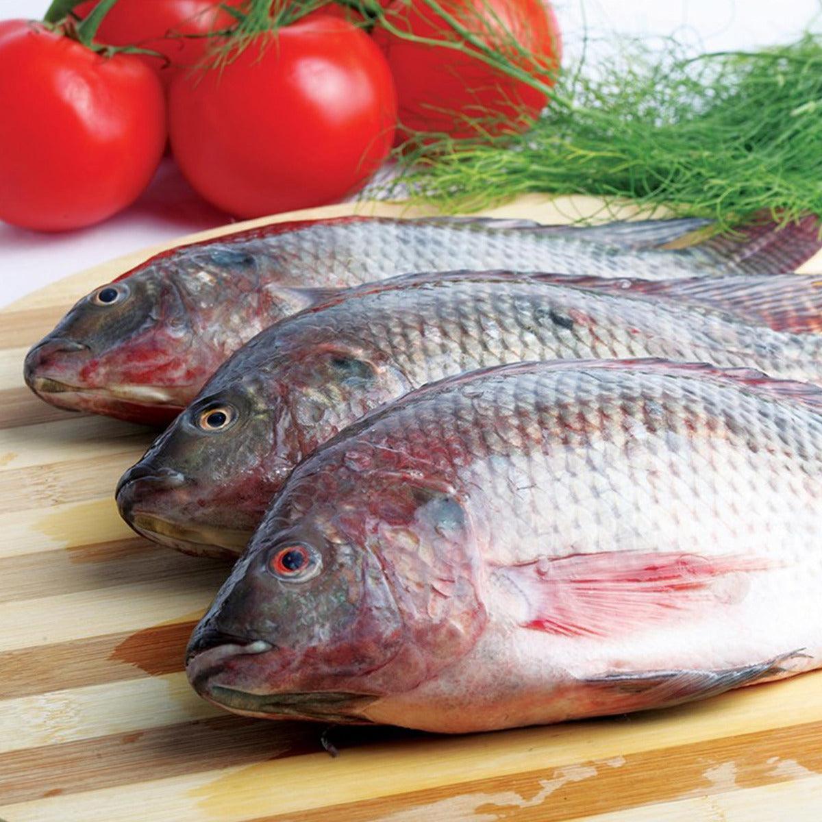 1kg Fresh Tilapia_0