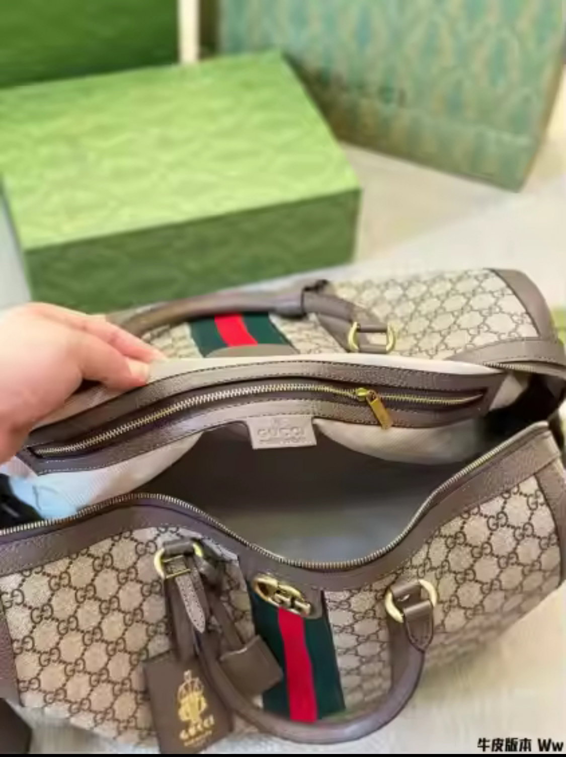 GUCCI GENUINE LEATHER TRAVEL BAG_1