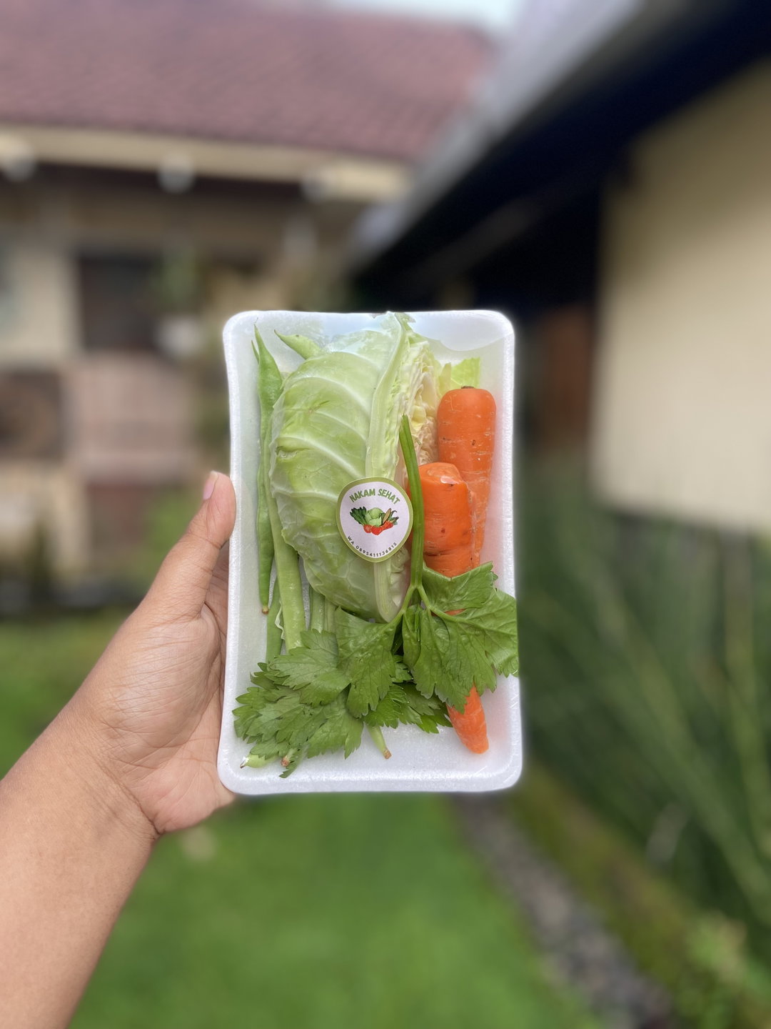 Paket Sayur Sop