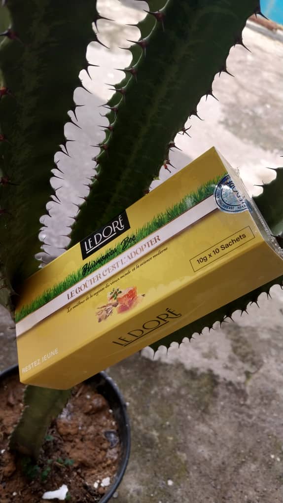 LE DORÉ (HARMONICA BEE)_1