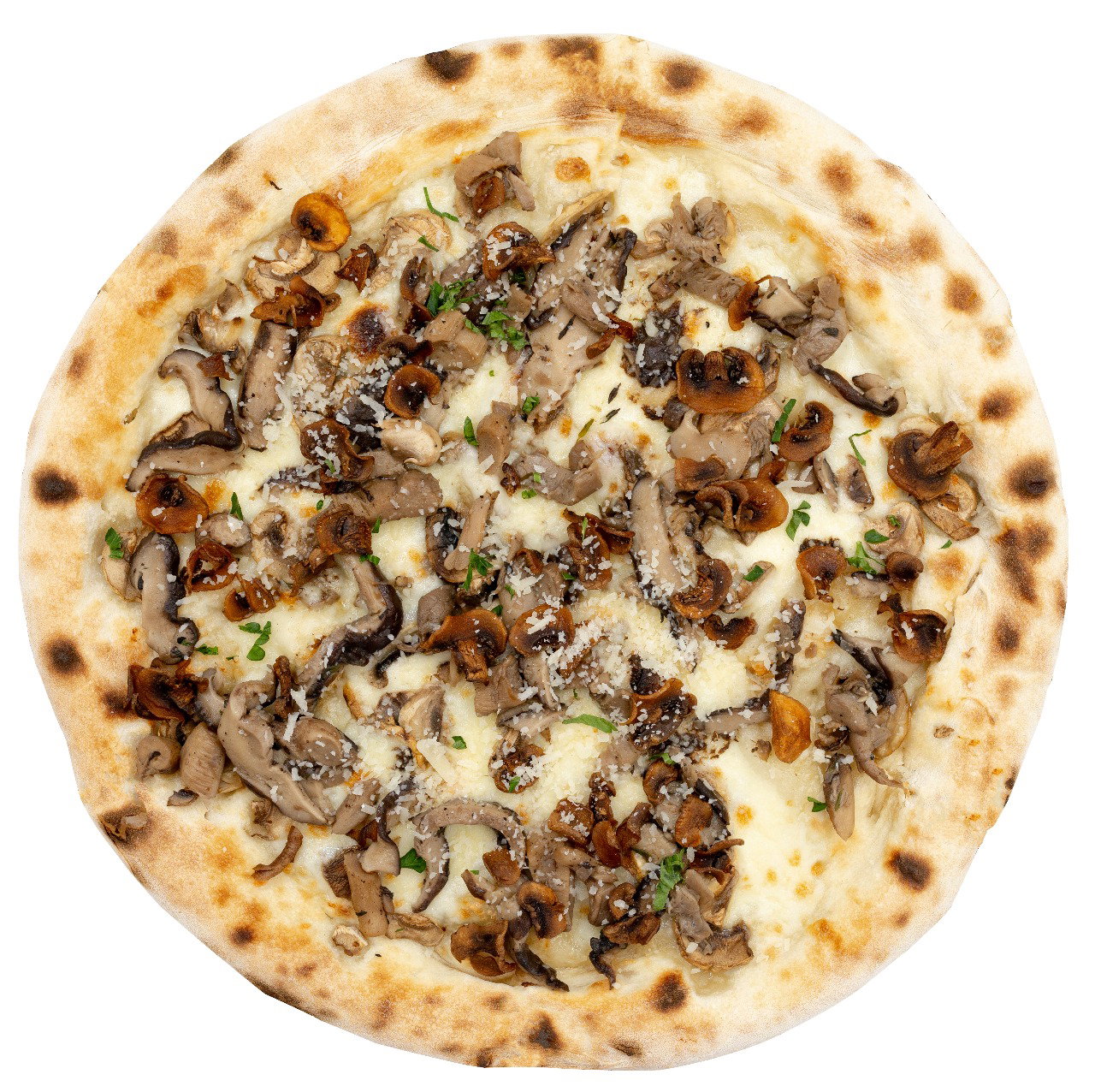 Truffle Cream Fungi_0