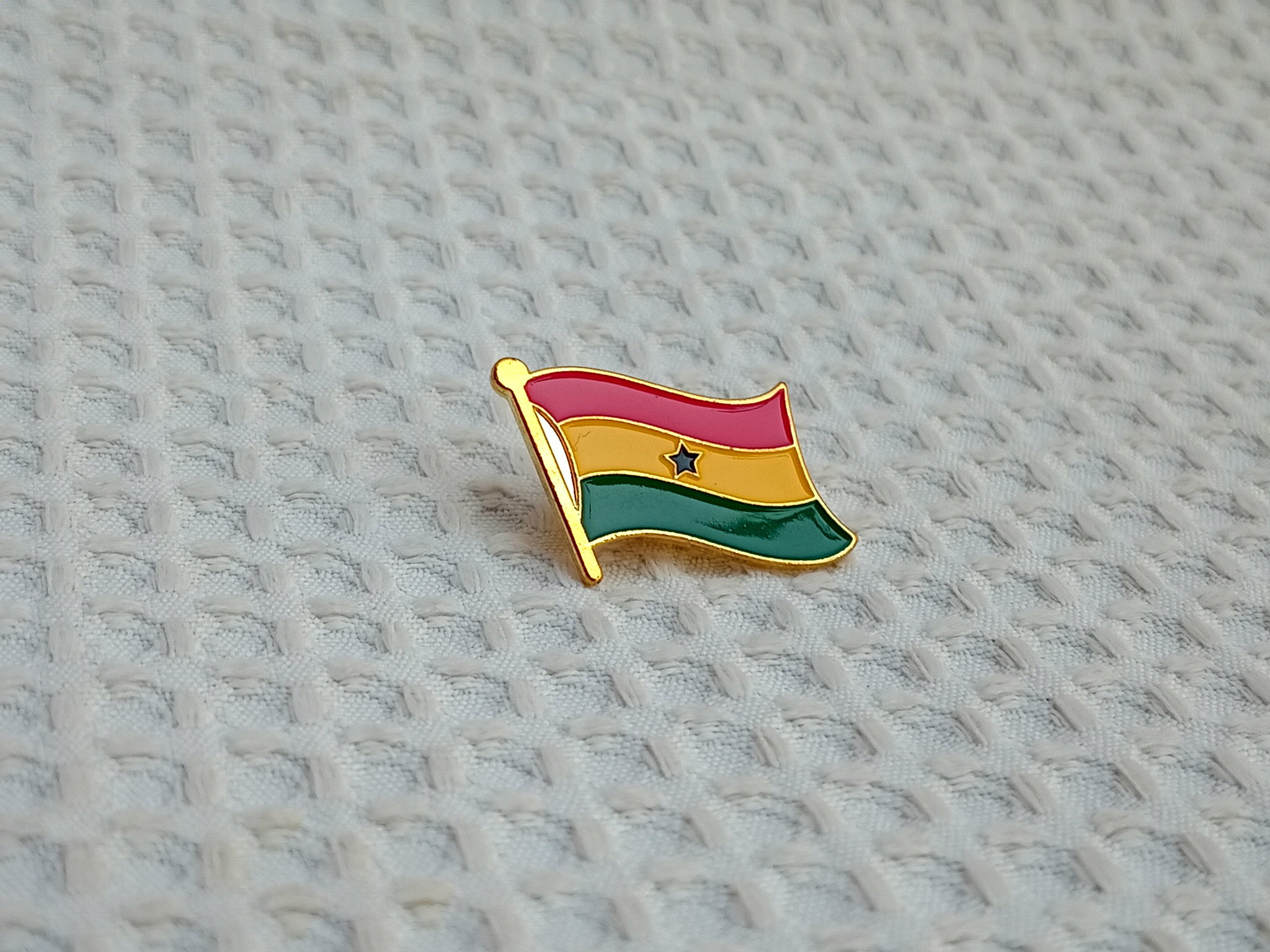 Coat of Arms Lapel pin_2