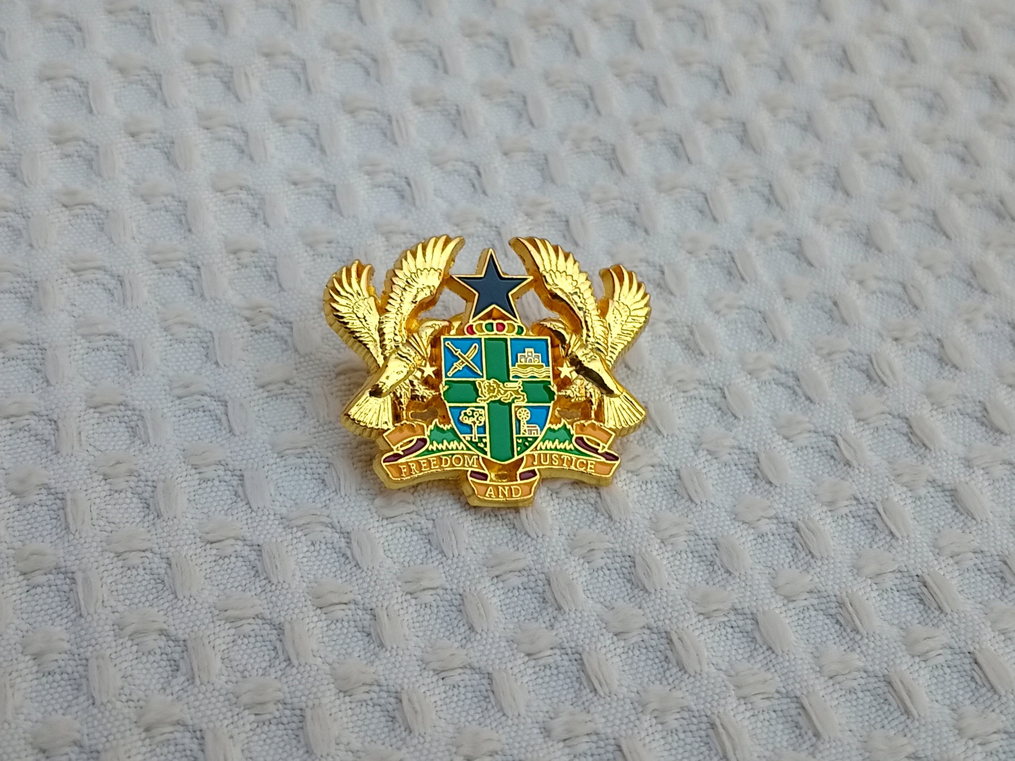 Coat of Arms Lapel pin_1