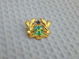 Coat of Arms Lapel pin