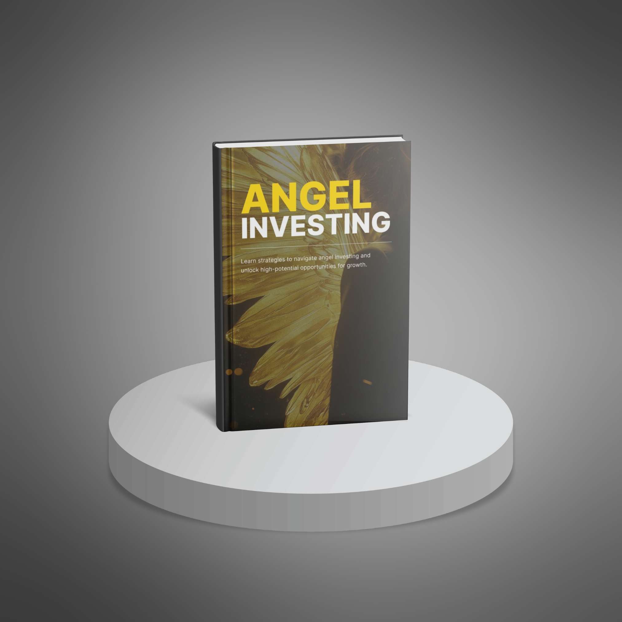 Angel Investing - Ebook_2