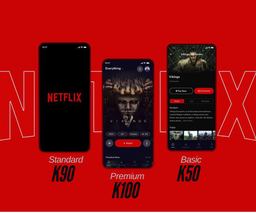 Netflix Standard 