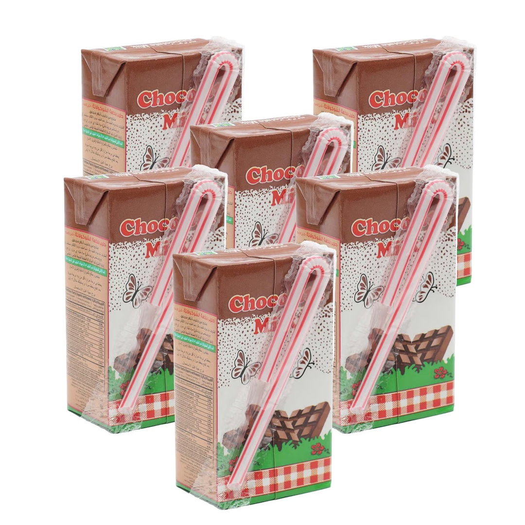 AWAL CHOCOLATE MILK 6*125ML