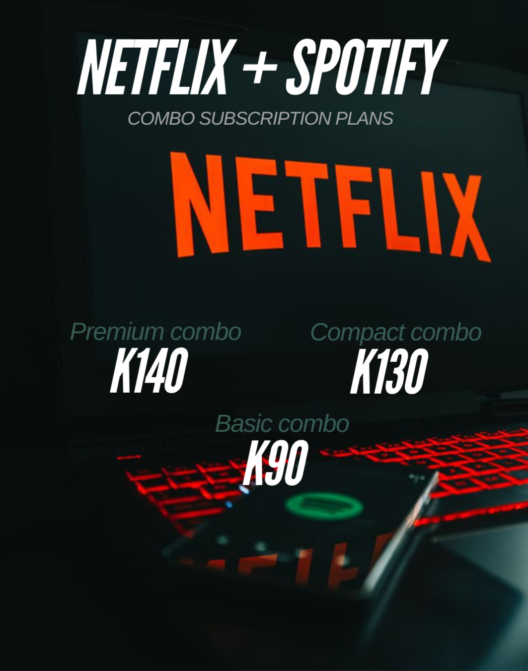 Netflix + Spotify Premium combo_1