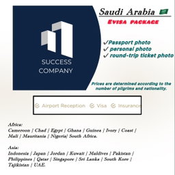 SAUDI ARABIA 🇸🇦 Evisa