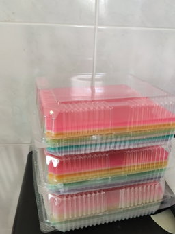 彩虹燕菜🌈 Rainbow Jelly