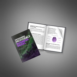 Designing a Profitable Business Model - Ebook
