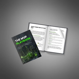 The MVP Playbook - Ebook